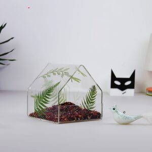 2 Clear View Window Bird Feeder The grass green theme exudes a natural atmosphere