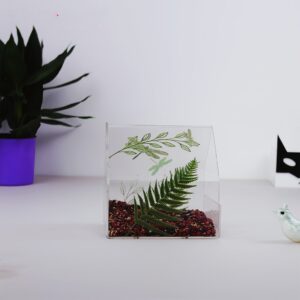 4 Clear View Window Bird Feeder The grass green theme exudes a natural atmosphere