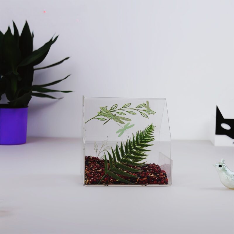 4 Clear View Window Bird Feeder The grass green theme exudes a natural atmosphere