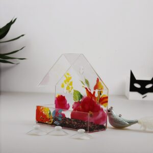 6 Colored printed acrylic bird feeder