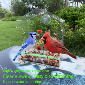 主图4 acrylic window Bird Feeder