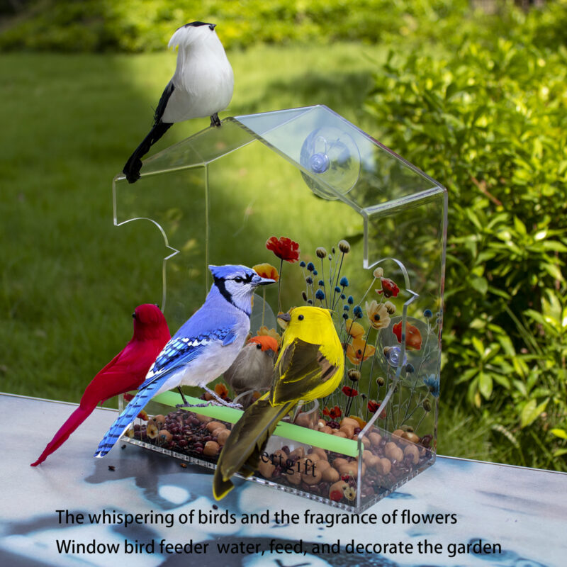 主图6 acrylic window Bird Feeder