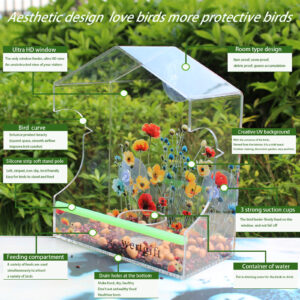 主图7 acrylic window Bird Feeder