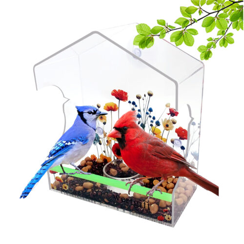 acrylic  window Bird Feeder